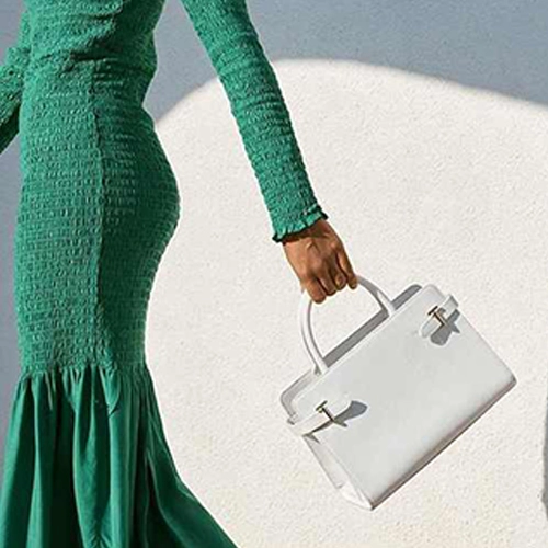 ladies hand purse